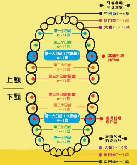 （圖片來源：衛福部）