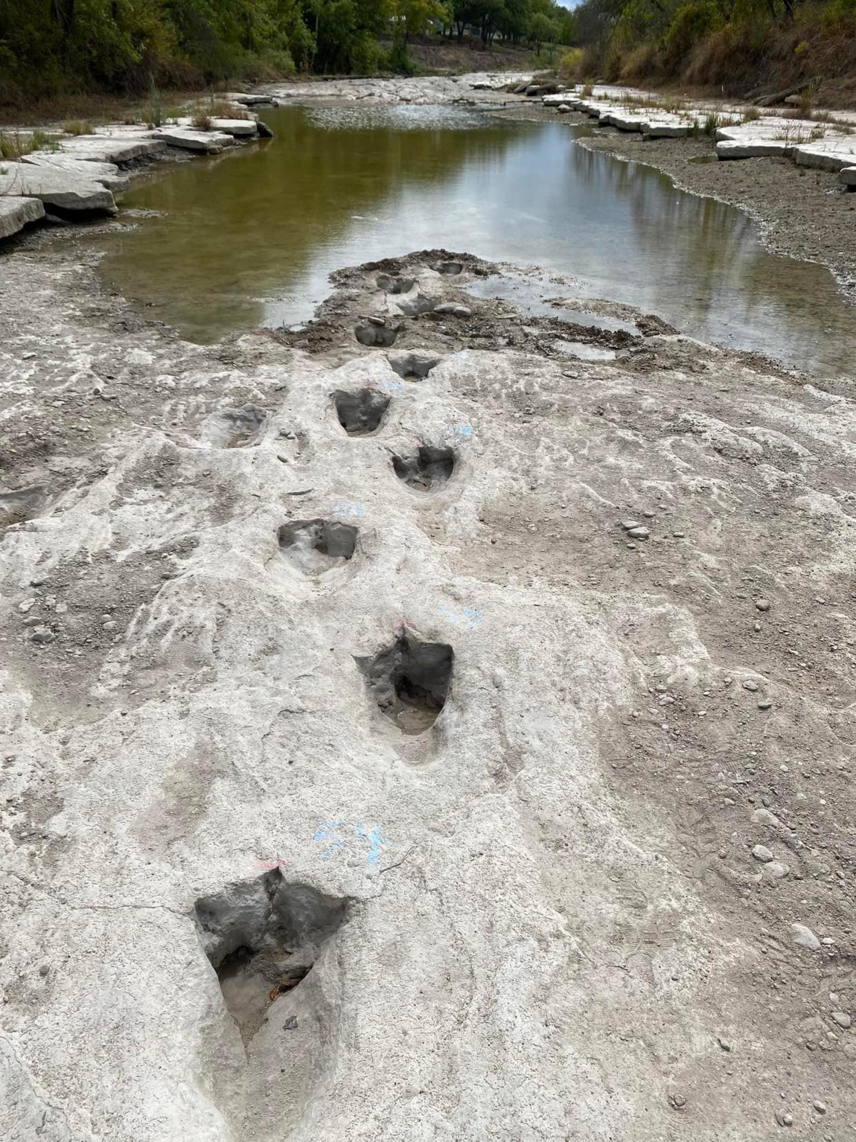 The tracks at the park date back 113 million years and the majority of them belong to two species. (Dinosaur Valley Park/Paul Baker)