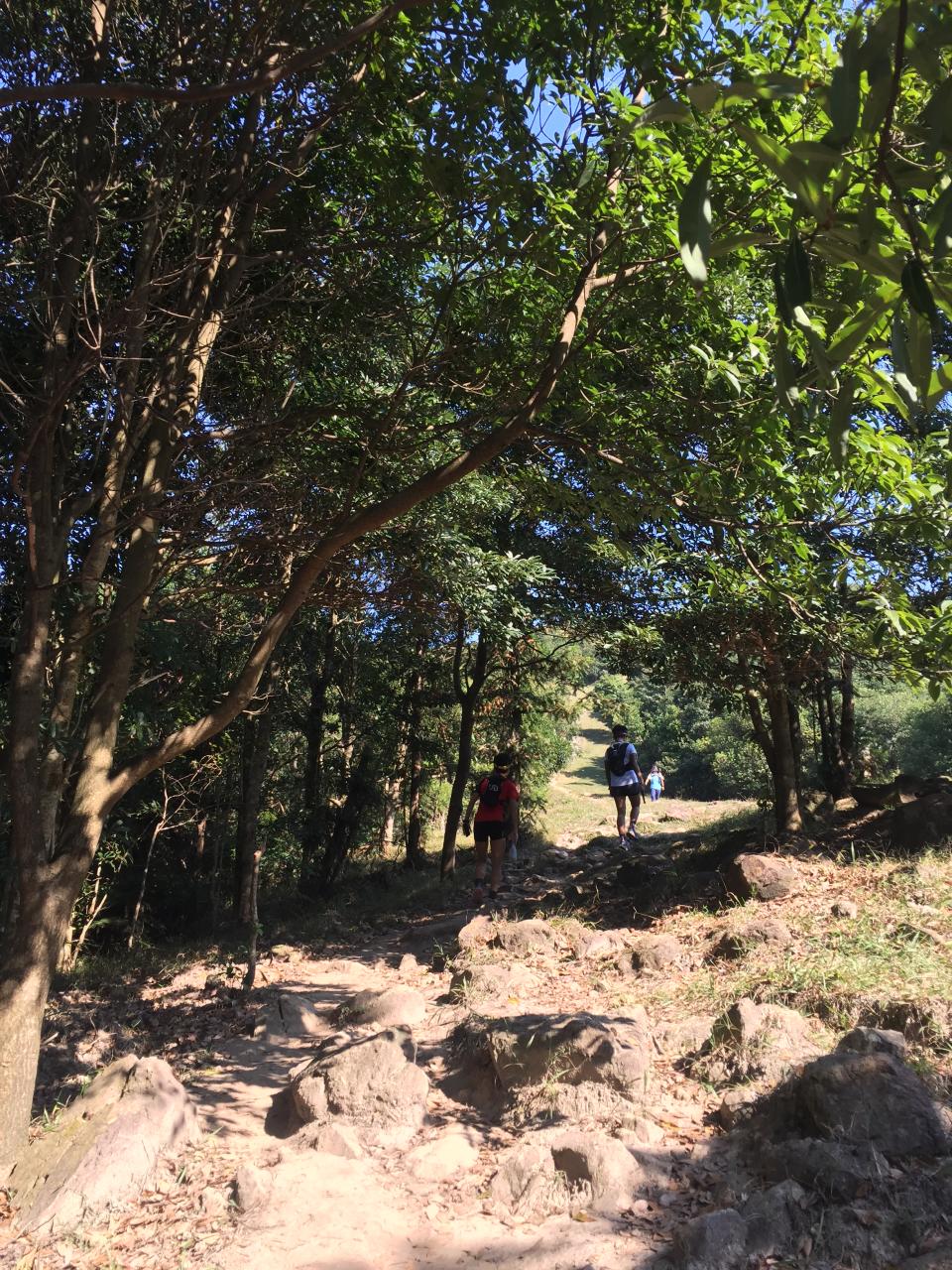 草山_上山中_不停都是樓梯