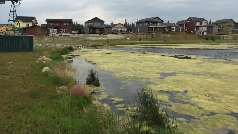 Whistle Bend 'rain garden' grows million dollar problem