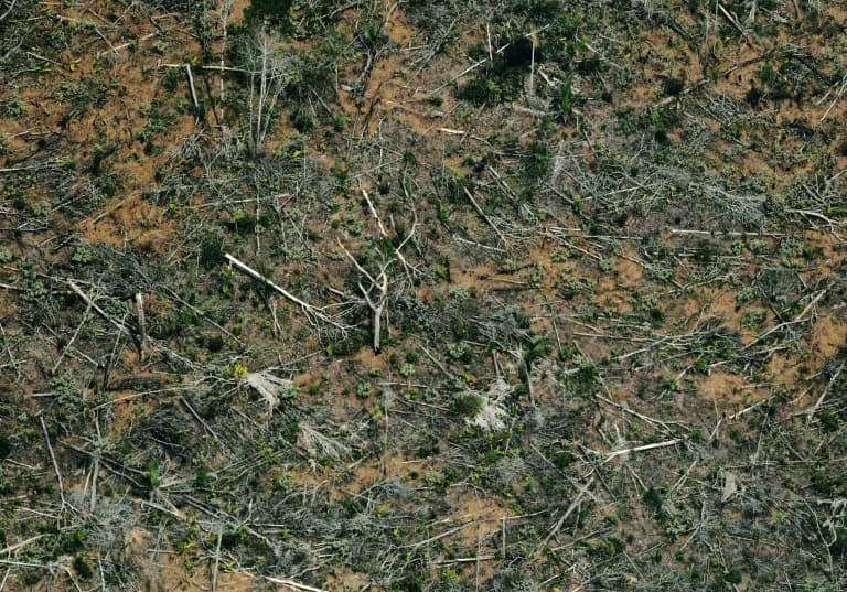 Vue aérienne d'une zone de déforestation de la forêt amazonienne, le 23 août 2019 près de Porto Velho, dans le nord du Brésil - Carl DE SOUZA © 2019 AFP