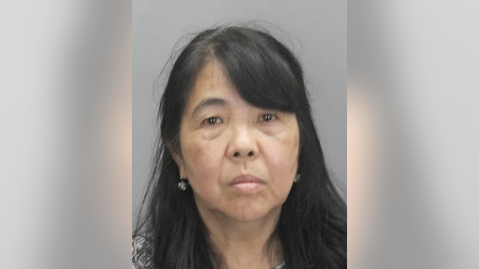 <div>Elizabeth Nagagata,62, of Fairfax, Virginia. Photo via Fairfax County Police Department</div>