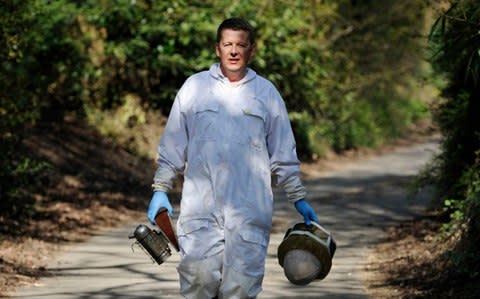 Bill Turnbull enjoying his hobby, beekeeping - Credit: Corbis News