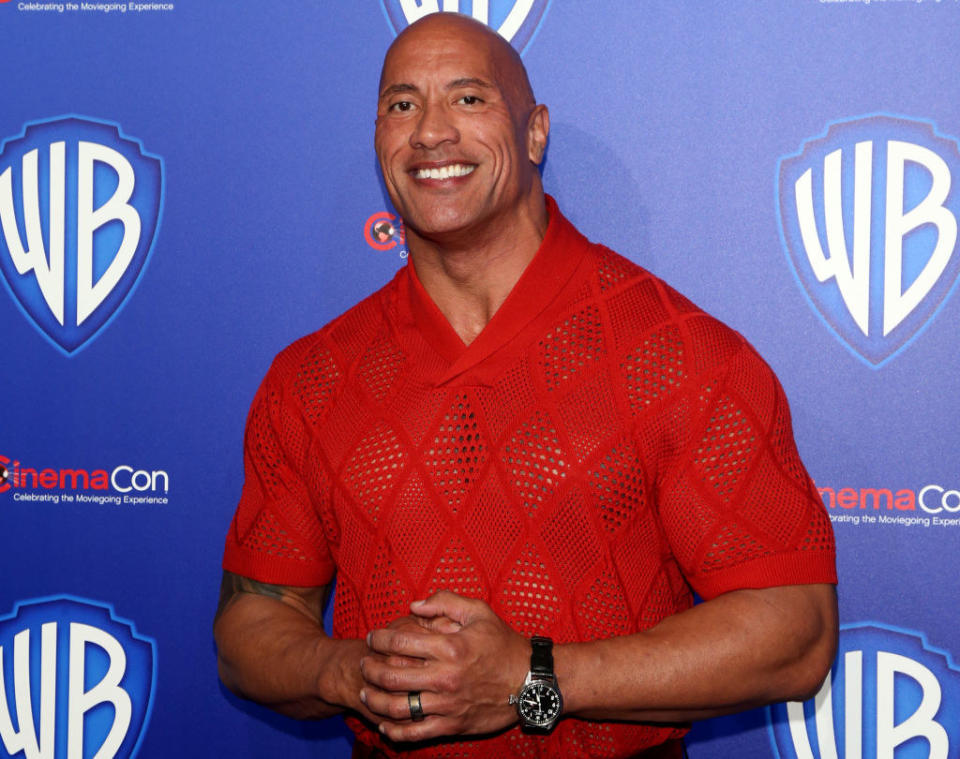 The Rock in a mesh, short-sleeved shirt on the red carpet