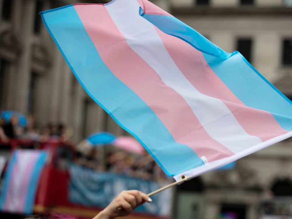 Transgender pride flag