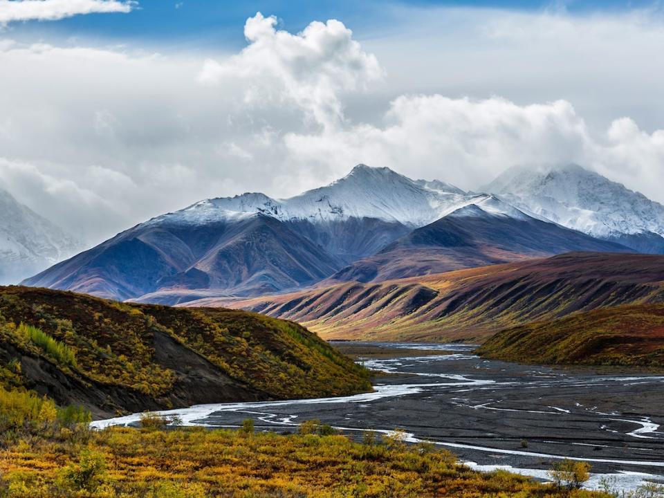 Denali National Park