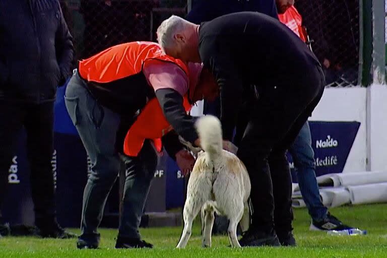 Israel Damonte, en una tierna imagen con un perro