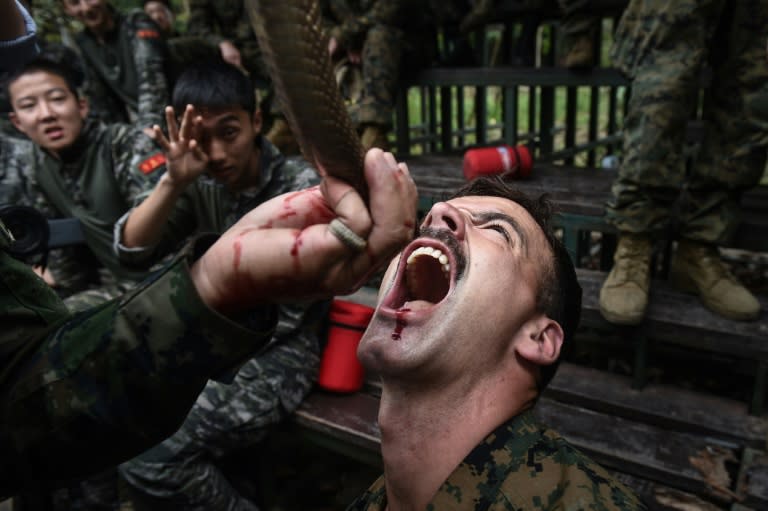 US and Thai troops took turns drinking blood from a severed cobra