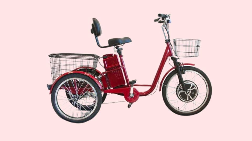 Best Three Wheel Electric Bikes.