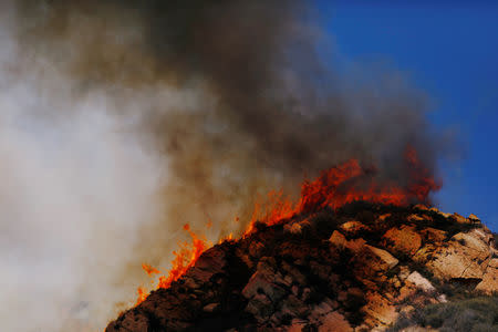 Flames are seen as firefighters battle the Woolsey Fire as it continues to burn in Malibu, California, U.S., November 11, 2018. REUTERS/Eric Thayer