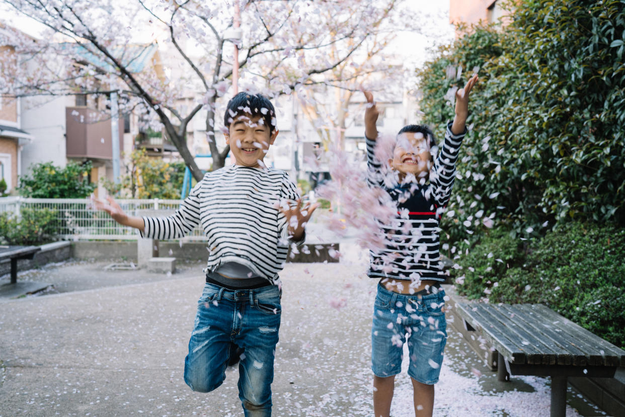 PHOTO: Getty Images. Boys enjoying cherry blossom.