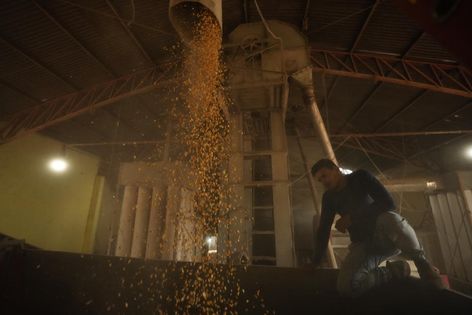 A worker watches grain unloaded into a silo at the rural producers cooperative Cooperopcao located near the Interoceanic Highway BR-317, in the Senador Guiomar municipality, near the city of Rio Branco, Acre state, Brazil, Wednesday, May 24, 2023. (AP Photo/Eraldo Peres)