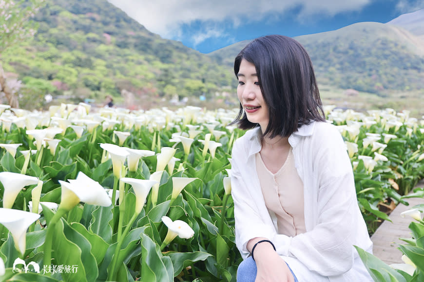 陽明山竹子湖一日遊