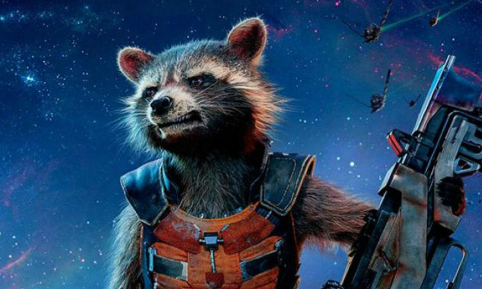 Rocket, der Waschbär