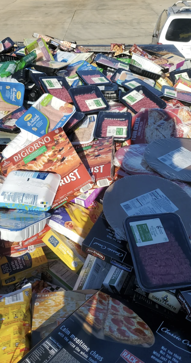 A dumpster overflowing with frozen pizzas, shrimp, chopped meat, and other food