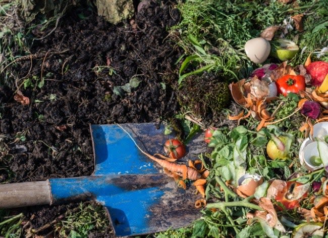 composting 101 lead