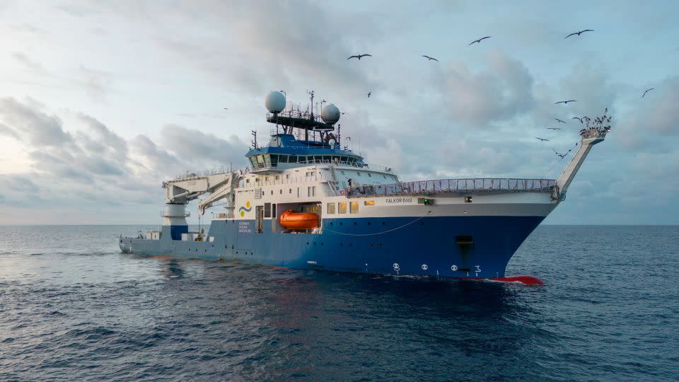 El monte submarino fue descubierto en julio durante una expedición del Schmidt Ocean Institute utilizando el buque de investigación conocido como Falkor (también).  - Instituto Oceánico Schmidt