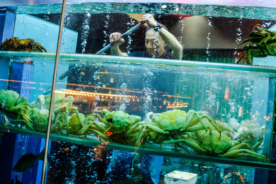 Crabs for sale in a Melbourne restaurant display window. 