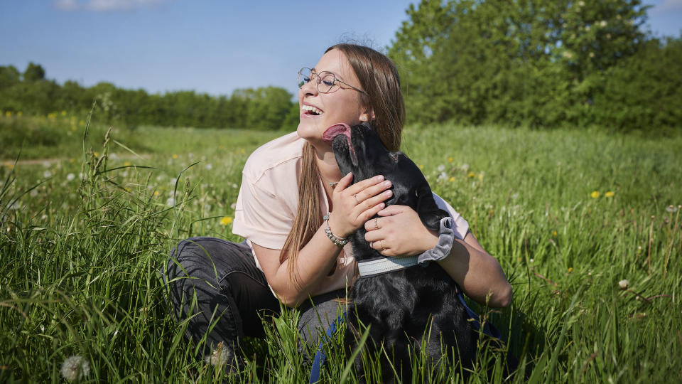 Black lab licking owner