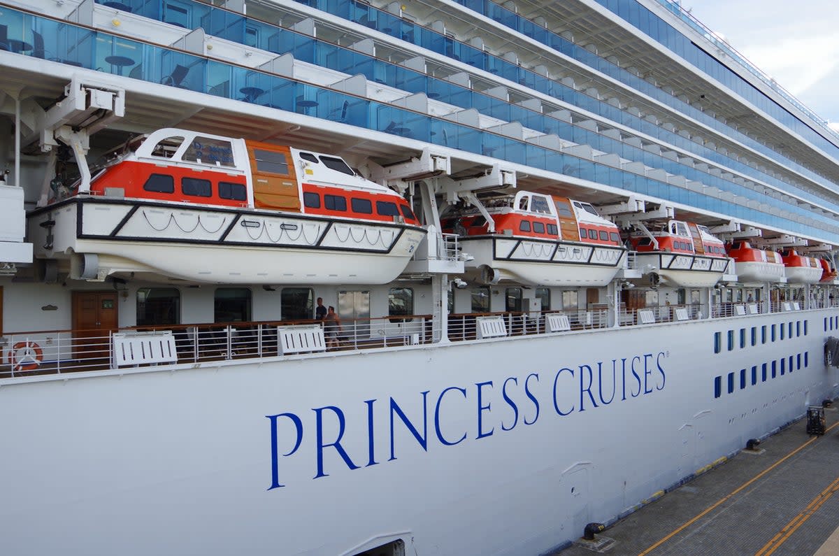 Nearly 100 people fell sick on a Princess Cruises voyage this month   (Getty Images)