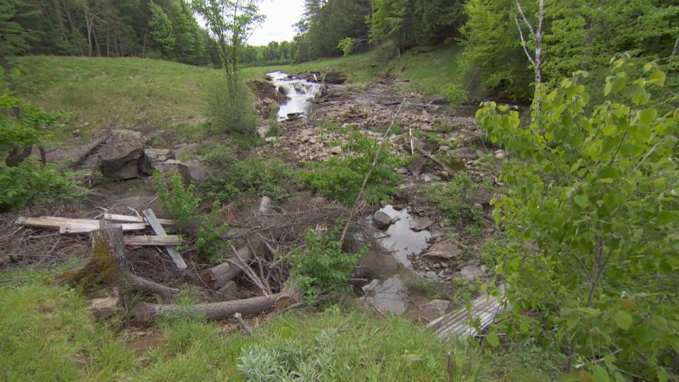  Another area of the stream where chunks of concrete have accumulated.