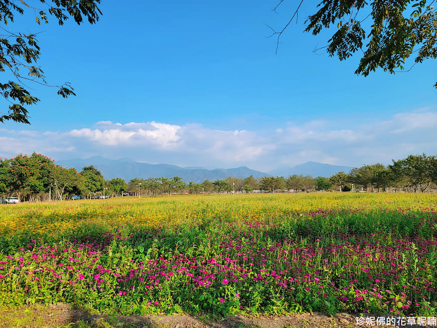 屏東｜新埤鄉綜合休閒公園