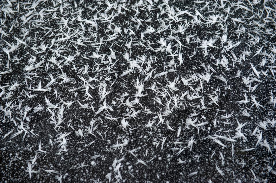 Frost crystals decorate a frozen pond at Pioneer Park in Walla Walla, Washington on Thursday (GREG LEHMAN)