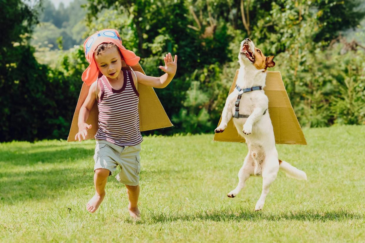 boy and his dog both wearing cardboard wings, pretending they are on a Pokemon adventure, dog Pokemon names