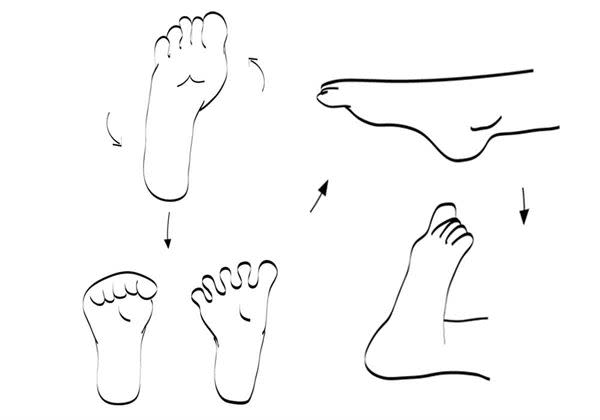 辦公室腳掌體操步驟為，先轉動腳掌，接著依序從腳拇趾，開始活動腳趾；然後，反覆下壓腳掌。（圖片／博思智庫提供）