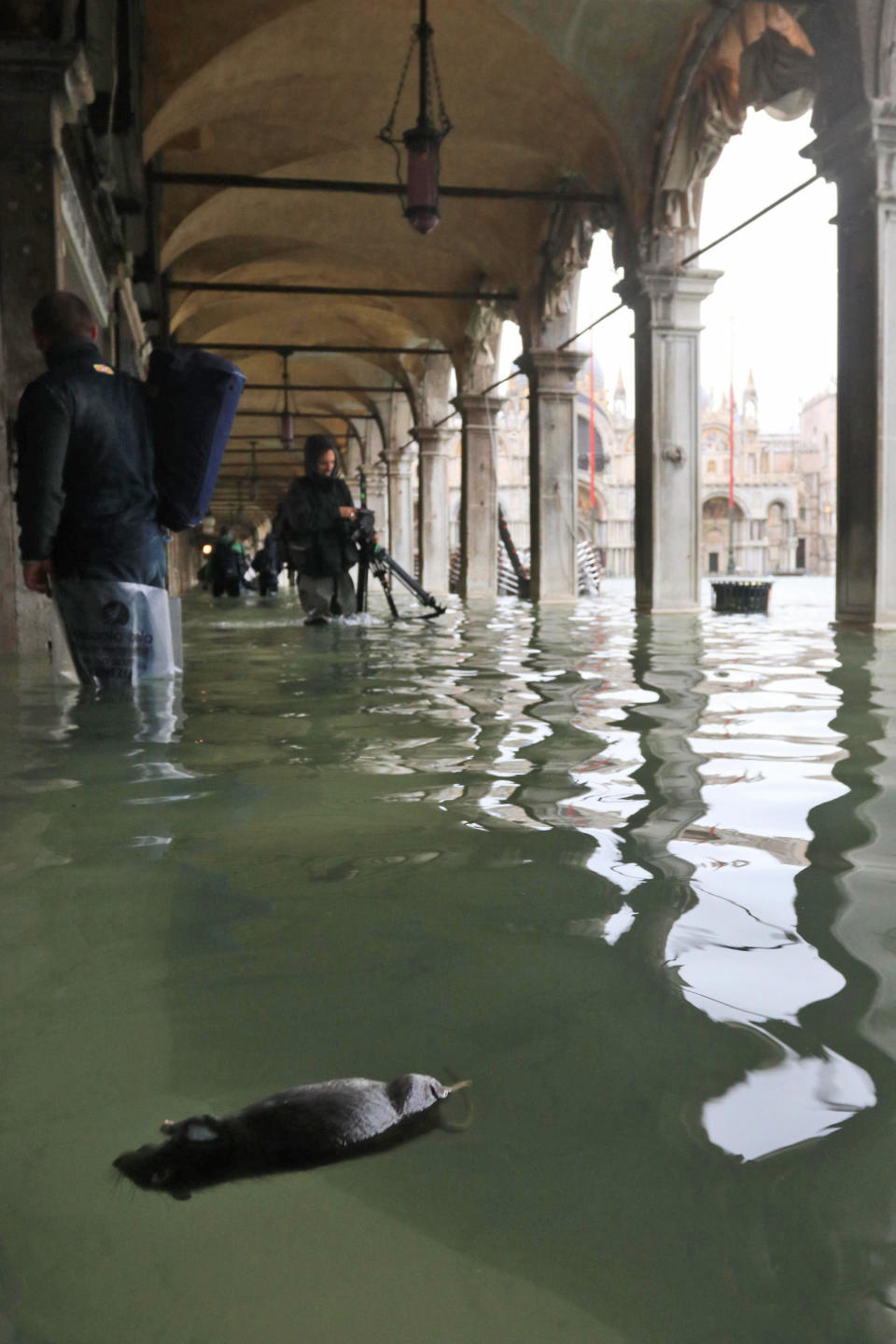 A dead rat floats in St. Mark square in Venice, Italy, Friday, Nov. 15, 2019. Exceptionally high tidal waters returned to Venice on Friday, prompting the mayor to close the iconic St. Mark's Square and call for donations to repair the Italian lagoon city just three days after it experienced its worst flooding in 50 years. (Emiliano Crespi/ANSA via AP)