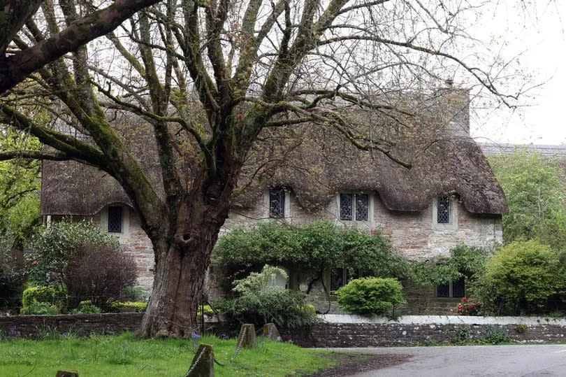 Stunning cottages line the road