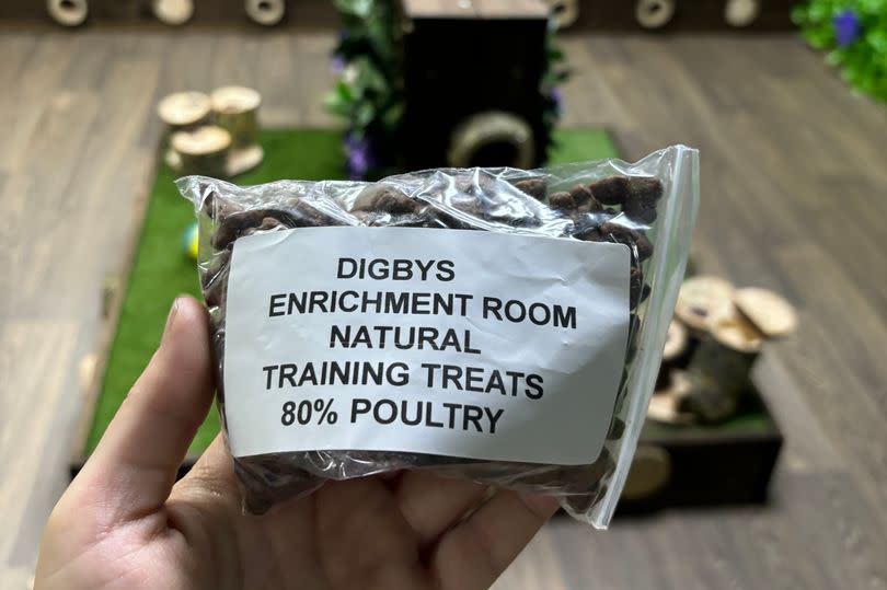 Everyone gets a bag of treats to hide for their dogs, but you can also use your own