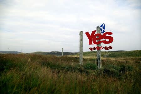 Yes campaign placards are displayed on a fence on the Isle of Lewis in Outer Hebrides September 12, 2014. REUTERS/Cathal McNaughton