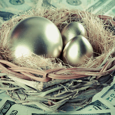 Golden-eggs-in-birds-nest-on-money_web