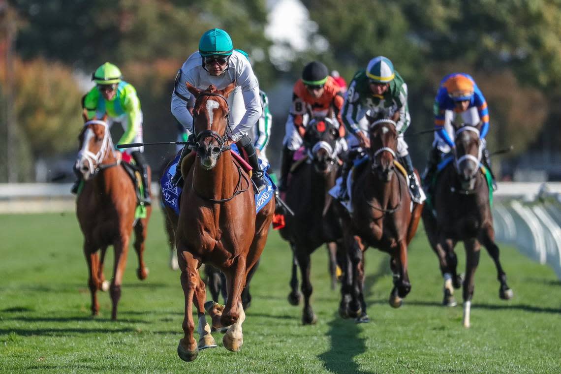 Jockey Luis Saez rode Delight to victory in the $350,000, Grade 2 JPMorgan Chase Jessamine on Friday afternoon as part of the Keeneland Fall Meet. With the win, Delight earned a spot in the $1 million, Grade 1 Breeders’ Cup Juvenile Fillies Turf to be run Nov. 4 at Keeneland.