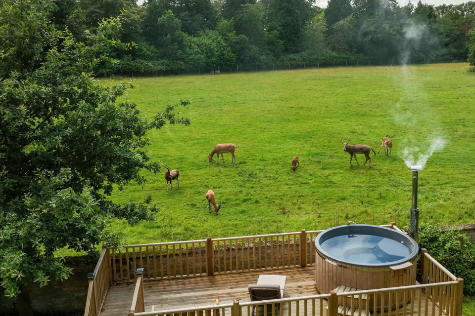 Norfolk holidaying: The view from the Stable Lodge hot tub out across parts of the Reserve