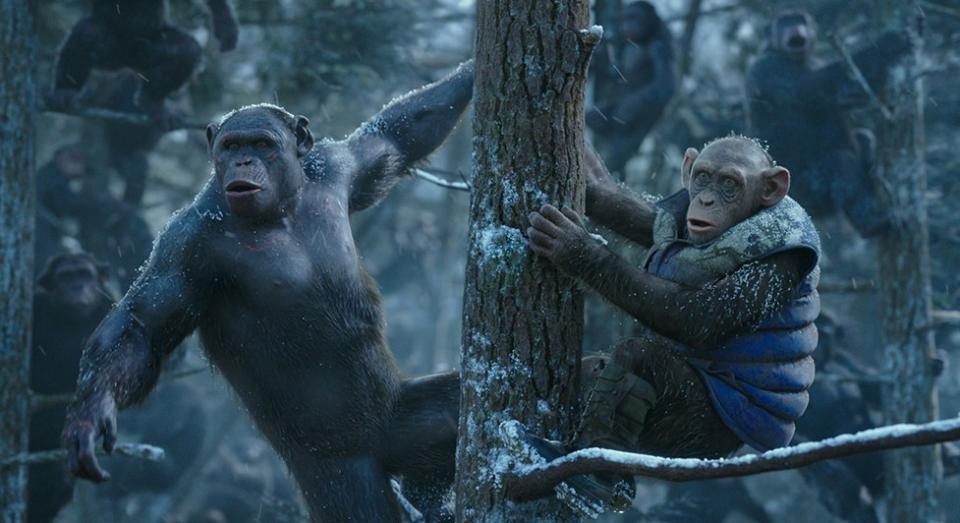 Bad Ape (R) could be the focus of the new film (Credit: Fox)