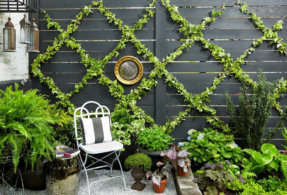 Lattice Green Wall