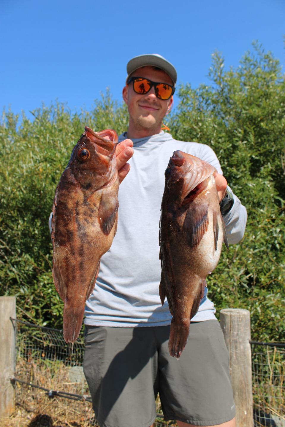 Oscar Whitney of Berkeley caught these two brown rockfish while fishing a white swimbait from a kayak off Muir Beach on August 5.