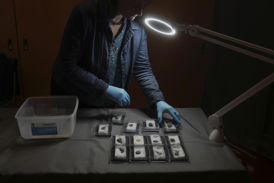 Liz Barham, senior conservator of the Museum of London Archaeology, displays an early medieval gold and gemstone necklace during a photo call, in London, Tuesday, Dec. 6, 2022. Archaeologists say a 1,300-year-old gold and gemstone necklace found during construction of a housing development marks the grave of a powerful woman who may have been an Anglo-Saxon aristocrat or early Christian religious leader in Britain. (AP Photo/Kin Cheung)