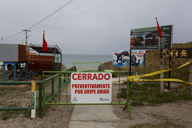 "Cerrado preventivamente por gripe aviar", la advertencia en una playa - Créditos: @Juan Macri