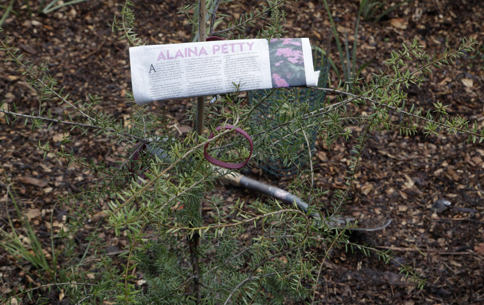 A student newspaper article from the Marjory Stoneman Douglas High School in Parkland, Florida, is attached to a tree planted at Halswell Quarry Park Conservation Area on the outskirts of Christchurch, New Zealand, Tuesday, July 24, 2018. The 28 students who survived the Feb. 14, 2018, mass-shooting at the Florida school are visiting New Zealand to learn more about sustaining youth movements. After planting the native totara trees on Tuesday, they recounted memories of their former classmates and teachers in a ceremony that brought many to tears. (AP Photo/Mark Baker)