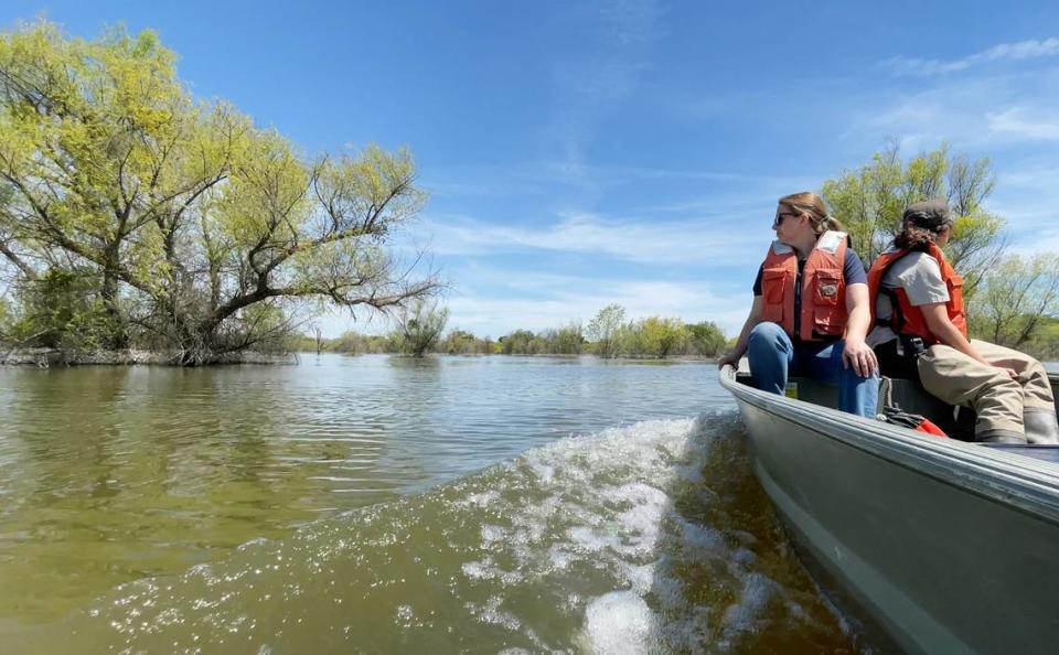 Haley Mirts, a restoration ecologist with River Partners, left, and federal wildlife biologist Fumika Takahashi survey the floodplain in the flooded San Joaquin River National Wildlife Refuge in Vernalis, Calif., Friday, April 21, 2023.