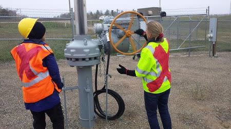 Activists are seen attempting to shutdown oil pipeline valve after cutting chains at a valve station for pipelines carrying crude from Canadian oils sands into the U.S. markets near Clearbrook, Minnesota, U.S., in this image released on October 11, 2016. Courtesy Climate Direct Action/Handout via REUTERS