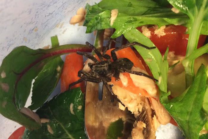 The Victorian woman said she had nearly eaten the entire salad when she discovered the spider. Source: Facebook