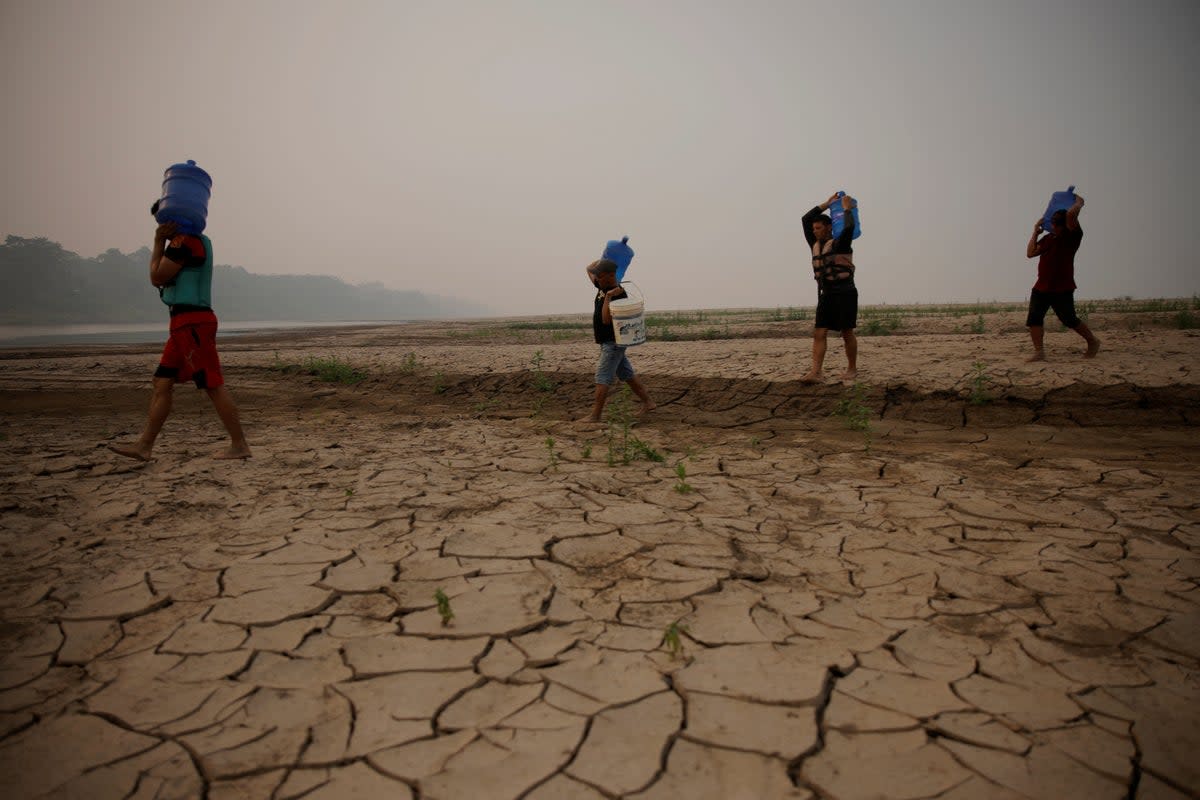 River dwellers carry water gallons near the Madeira river, bringing them to an isolated Amazonas state community earlier this month. The drought has sent river levels plummeting to record levels. (REUTERS/Bruno Kelly)