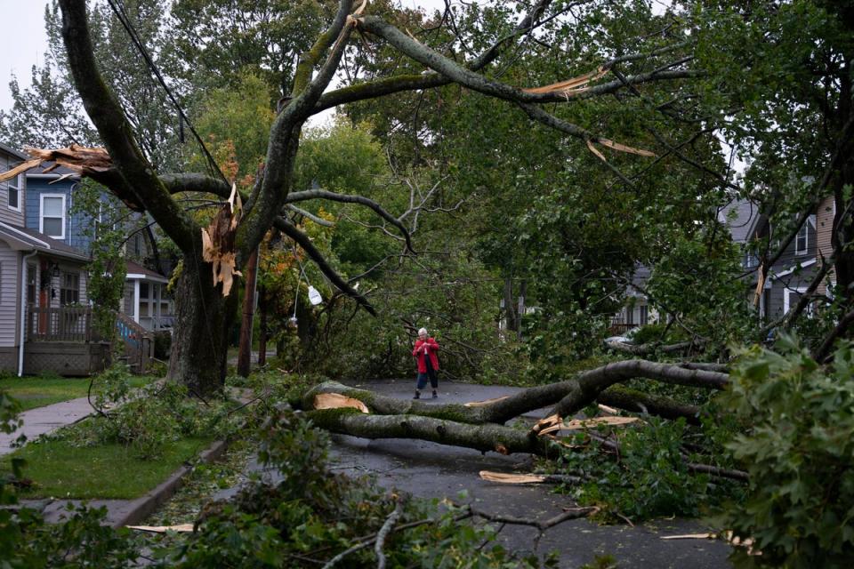 Georgina Scott examina los daños en su calle en Halifax mientras el huracán Fiona sigue azotando la zona el sábado (AP)