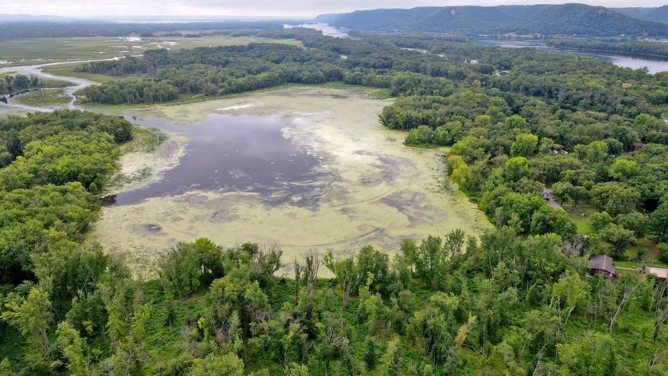 Algae covers a large portion of Round Lake, a spring-fed lake in western Trempealeau, Wisconsin. A community group called Friends of Trempealeau Lakes has formed to try to restore the algae-filled lakes.