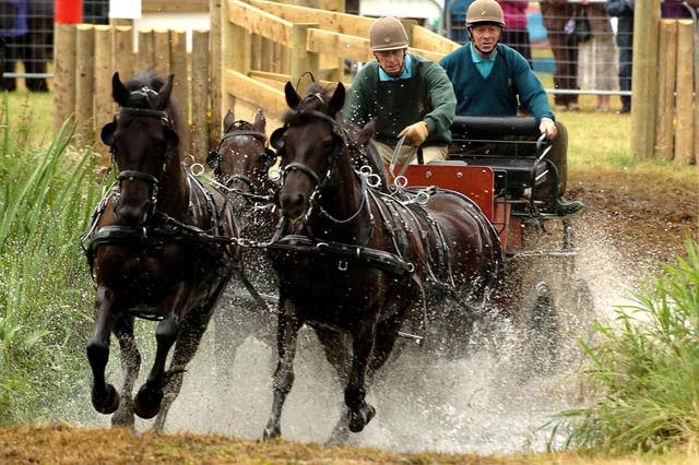 Carriage driving