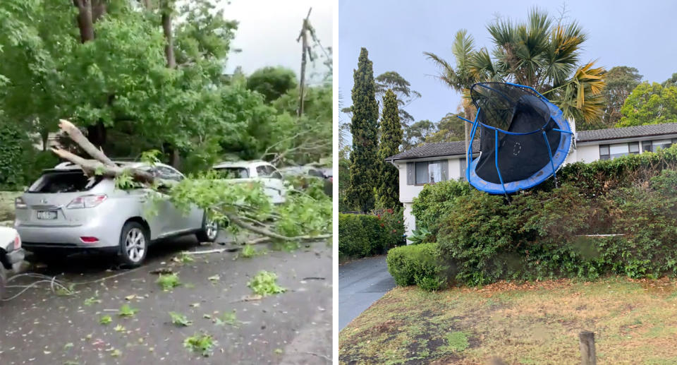 Pictured is a fallen tree on a car (left) and a trampoline caught in a tree (right). 